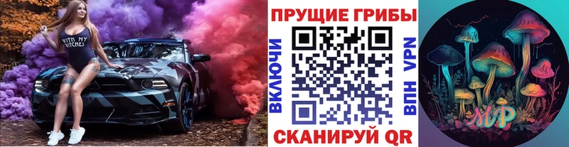 Галлюциногенные грибы мицелий  закладка  Вельск 